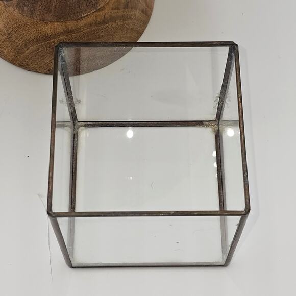 Hydro Terrarium Cactus Succulents - Small  10¹² Terra Made in Japan - Picture 3 of 3